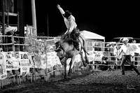 Troy rodeo 2019